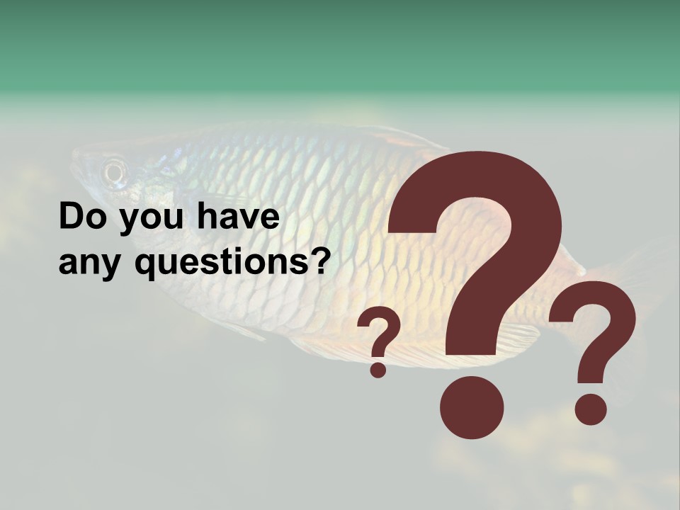 Nature Underwater Fish PowerPoint Template