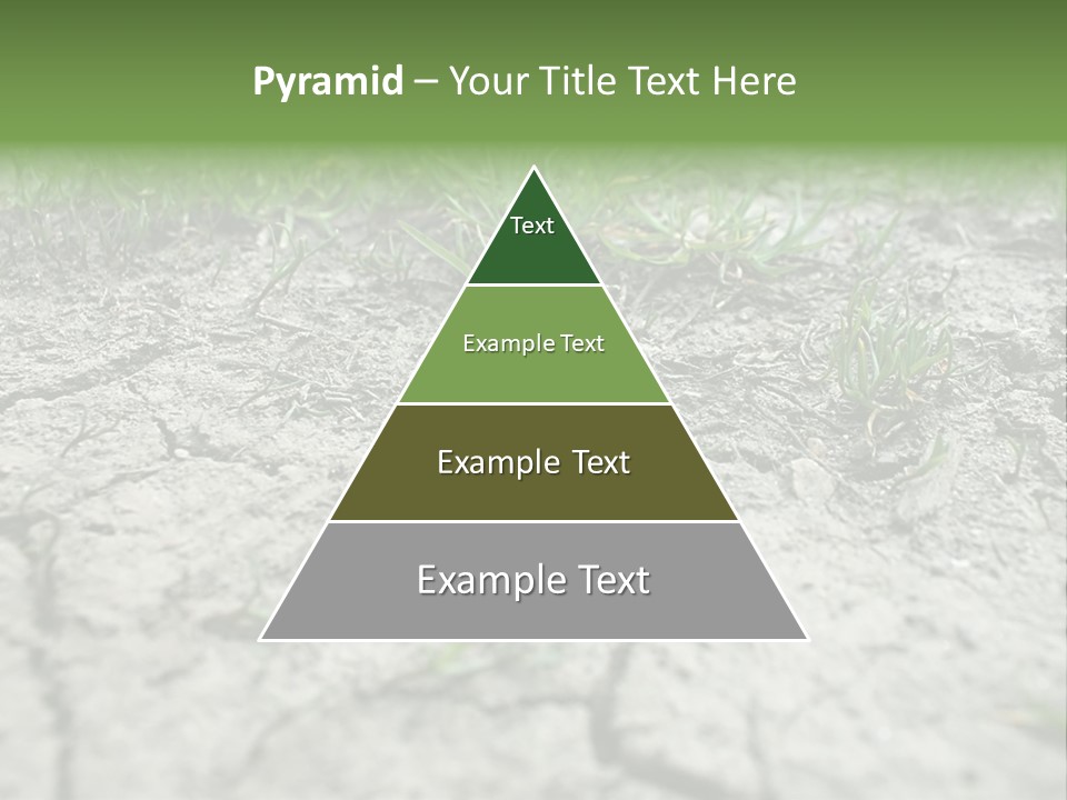 A Field Of Grass With Dirt And Grass Growing Out Of It PowerPoint Template