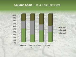 A Field Of Grass With Dirt And Grass Growing Out Of It PowerPoint Template