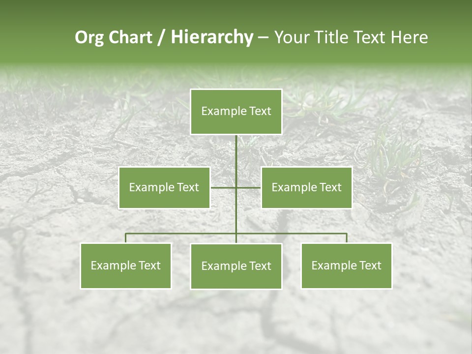 A Field Of Grass With Dirt And Grass Growing Out Of It PowerPoint Template