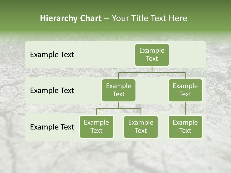 A Field Of Grass With Dirt And Grass Growing Out Of It PowerPoint Template