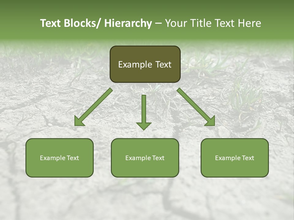 A Field Of Grass With Dirt And Grass Growing Out Of It PowerPoint Template