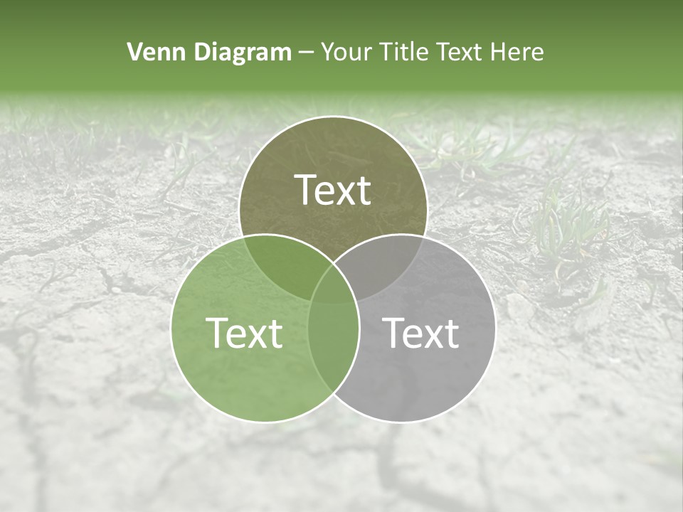 A Field Of Grass With Dirt And Grass Growing Out Of It PowerPoint Template