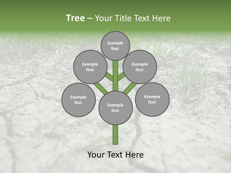 A Field Of Grass With Dirt And Grass Growing Out Of It PowerPoint Template