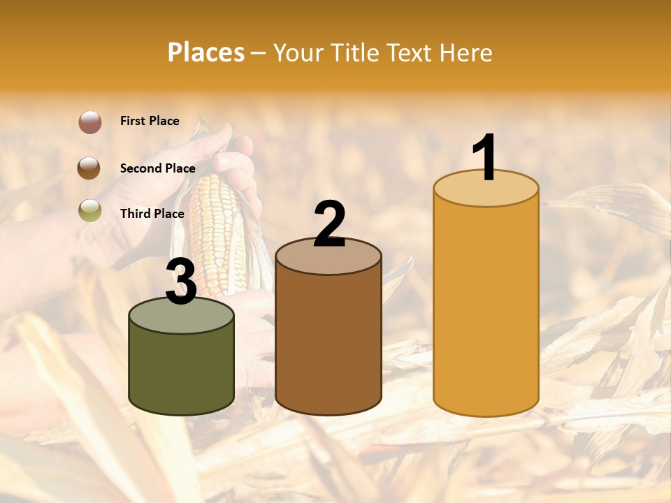 Worker Grain Holding PowerPoint Template
