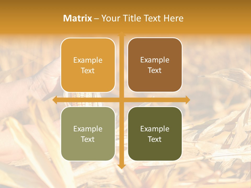 Worker Grain Holding PowerPoint Template
