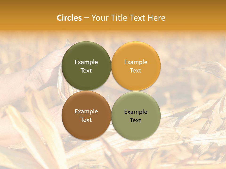 Worker Grain Holding PowerPoint Template