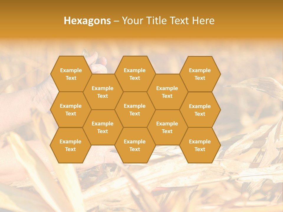 Worker Grain Holding PowerPoint Template