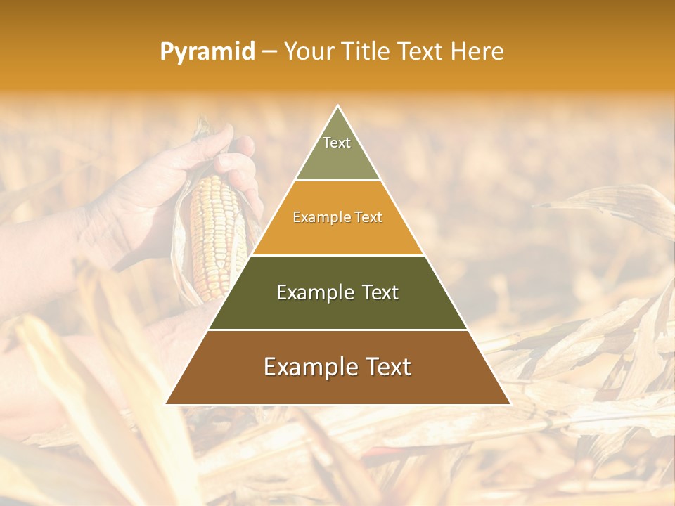 Worker Grain Holding PowerPoint Template