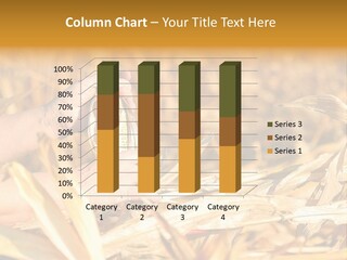 Worker Grain Holding PowerPoint Template