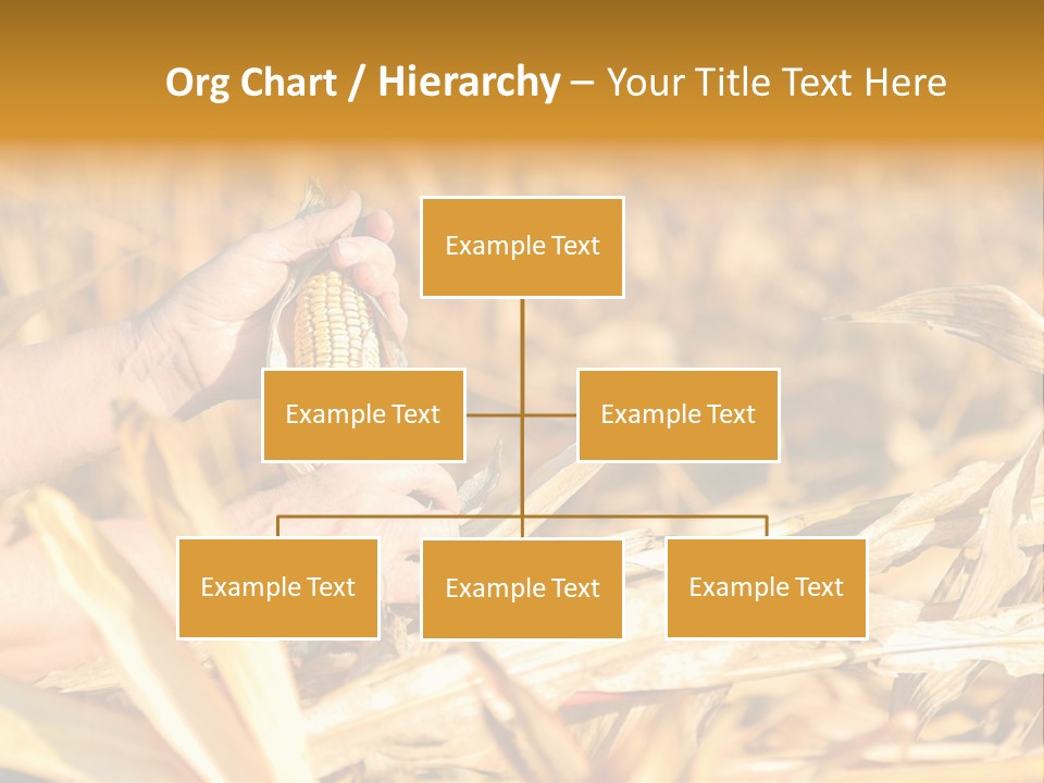 Worker Grain Holding PowerPoint Template
