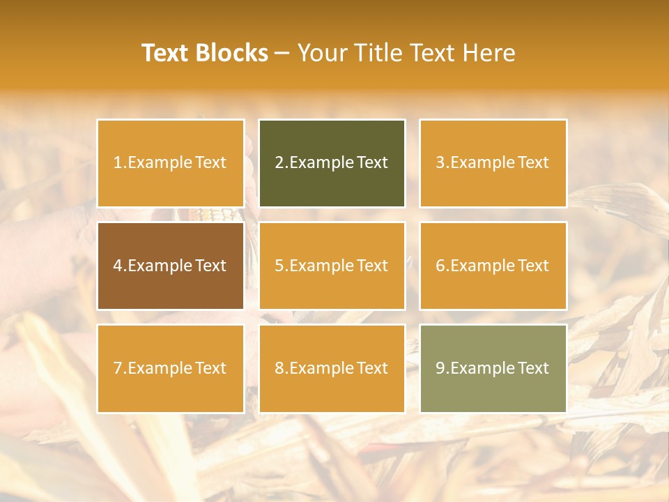 Worker Grain Holding PowerPoint Template