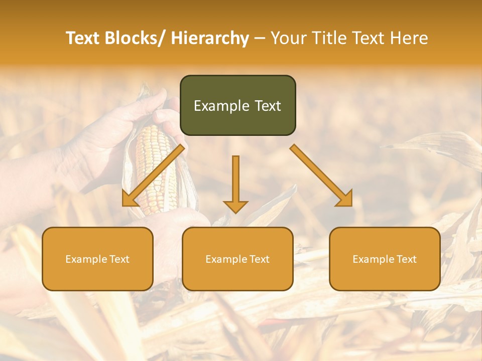 Worker Grain Holding PowerPoint Template