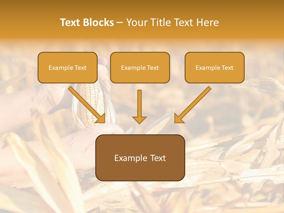 Worker Grain Holding PowerPoint Template