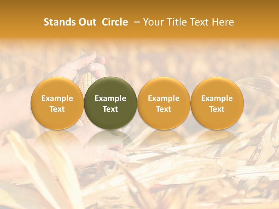 Worker Grain Holding PowerPoint Template