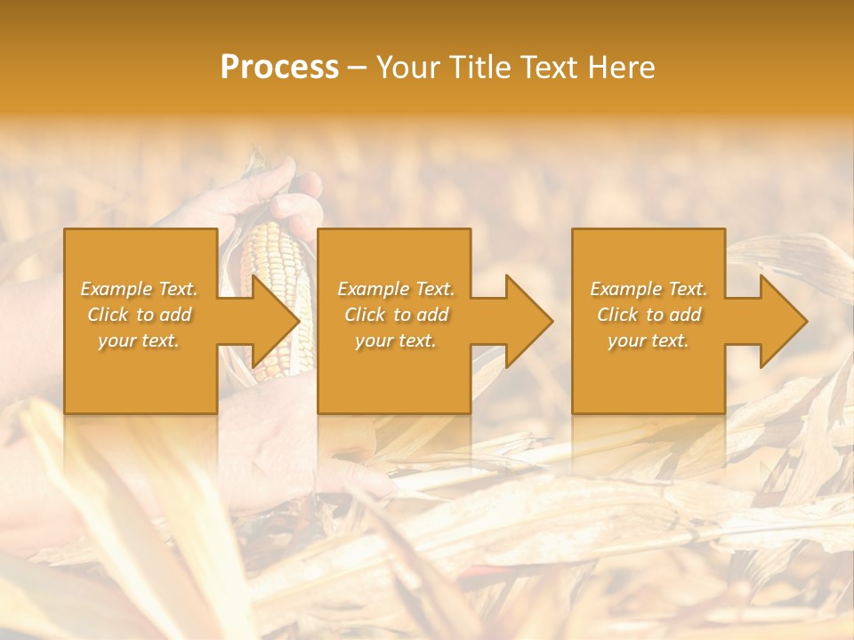 Worker Grain Holding PowerPoint Template