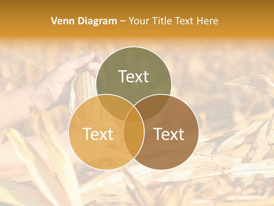 Worker Grain Holding PowerPoint Template