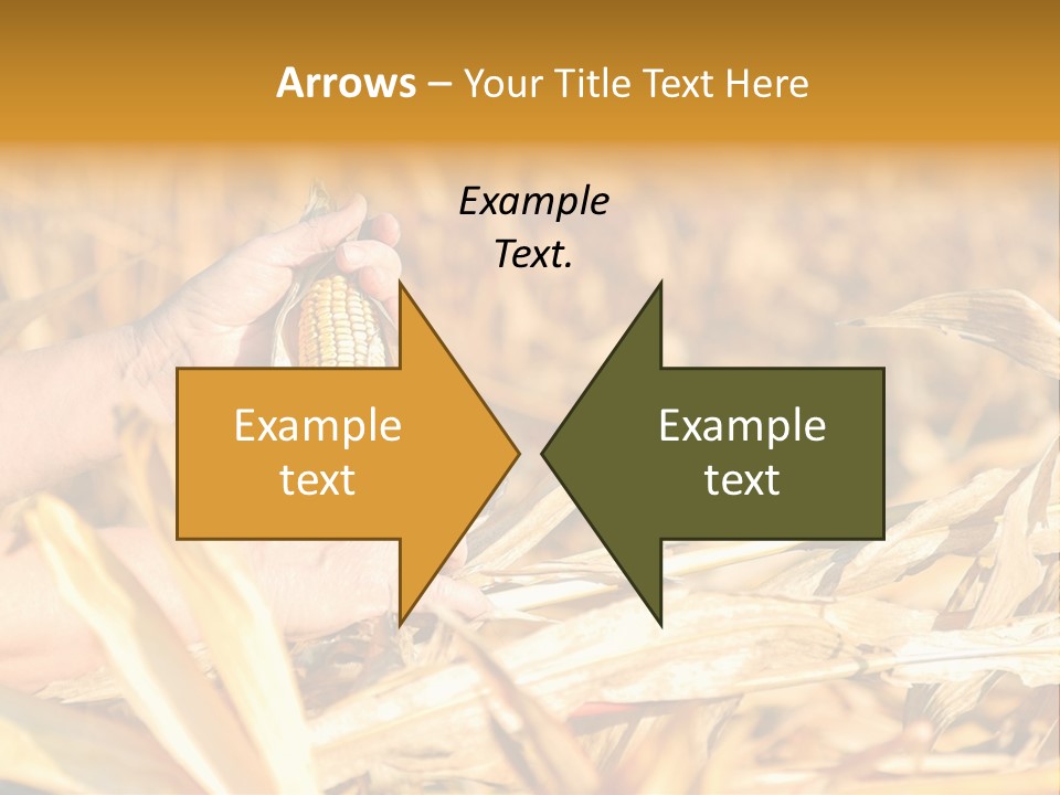 Worker Grain Holding PowerPoint Template