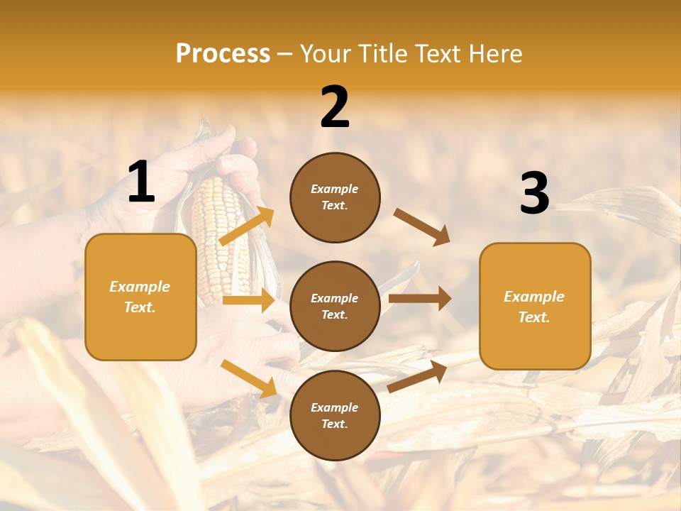 Worker Grain Holding PowerPoint Template