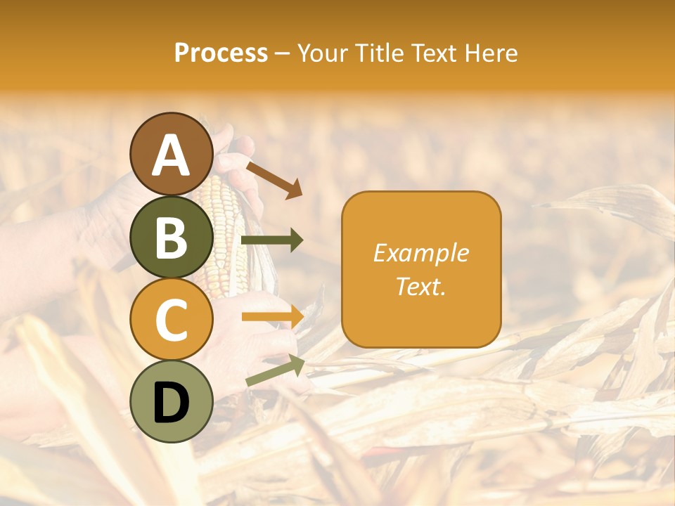 Worker Grain Holding PowerPoint Template