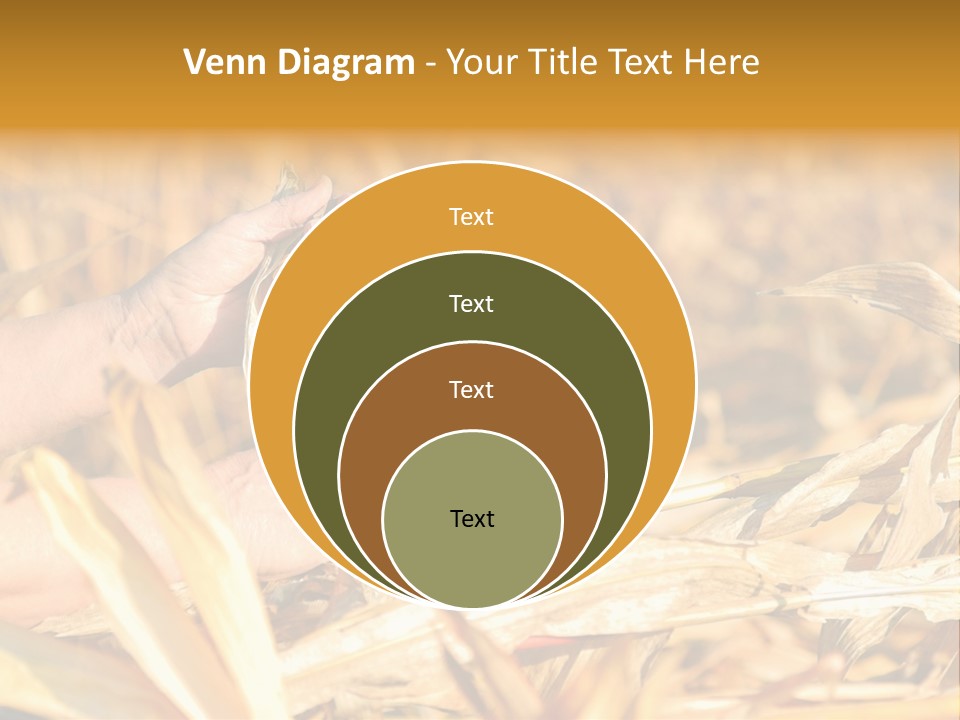 Worker Grain Holding PowerPoint Template