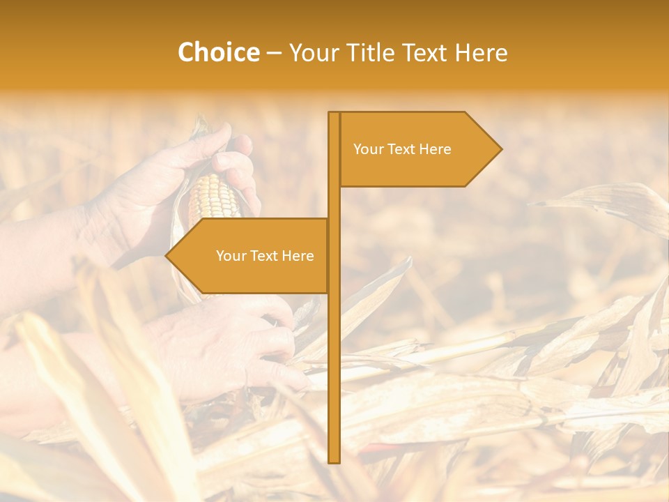 Worker Grain Holding PowerPoint Template