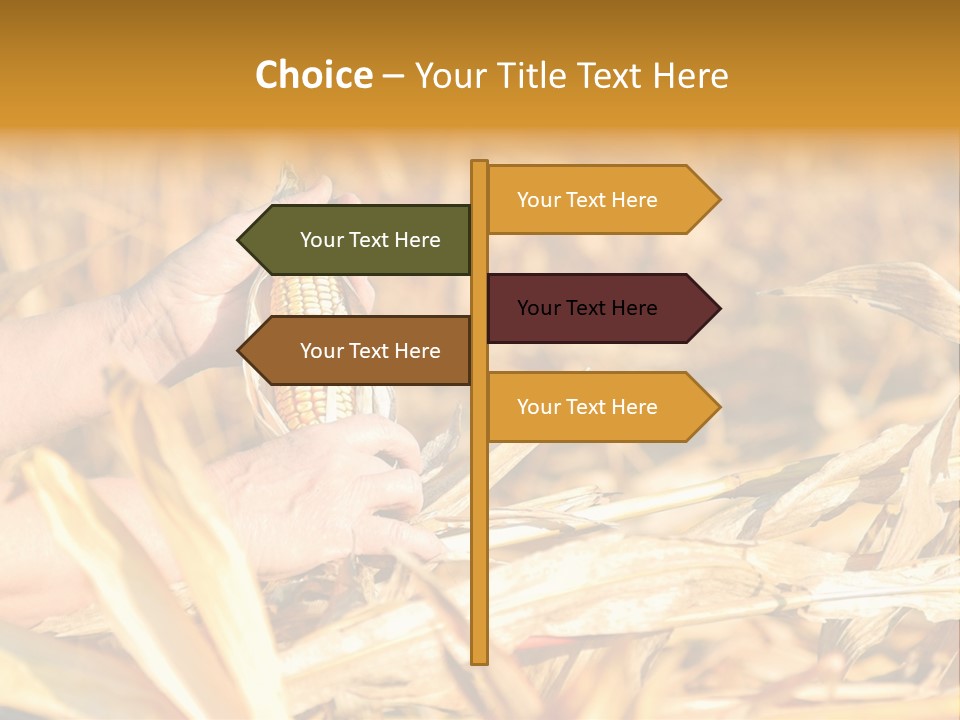 Worker Grain Holding PowerPoint Template