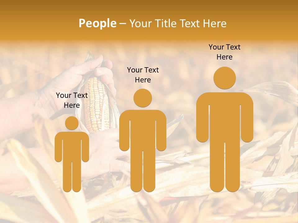 Worker Grain Holding PowerPoint Template