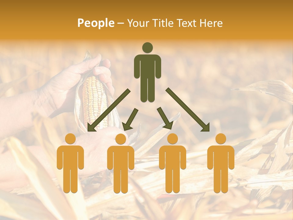 Worker Grain Holding PowerPoint Template