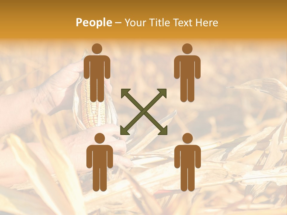 Worker Grain Holding PowerPoint Template