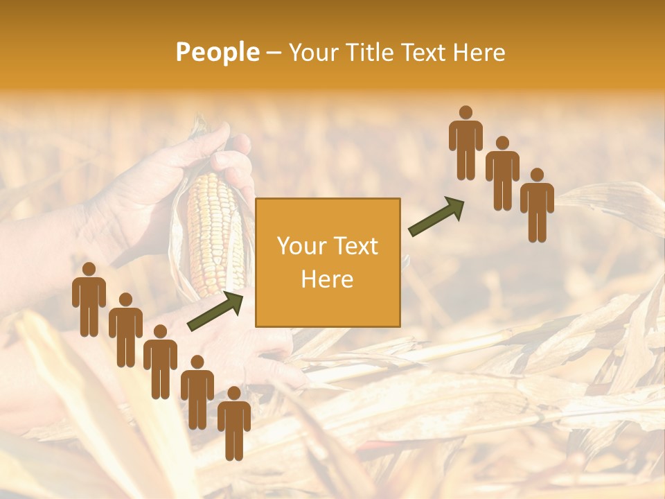 Worker Grain Holding PowerPoint Template