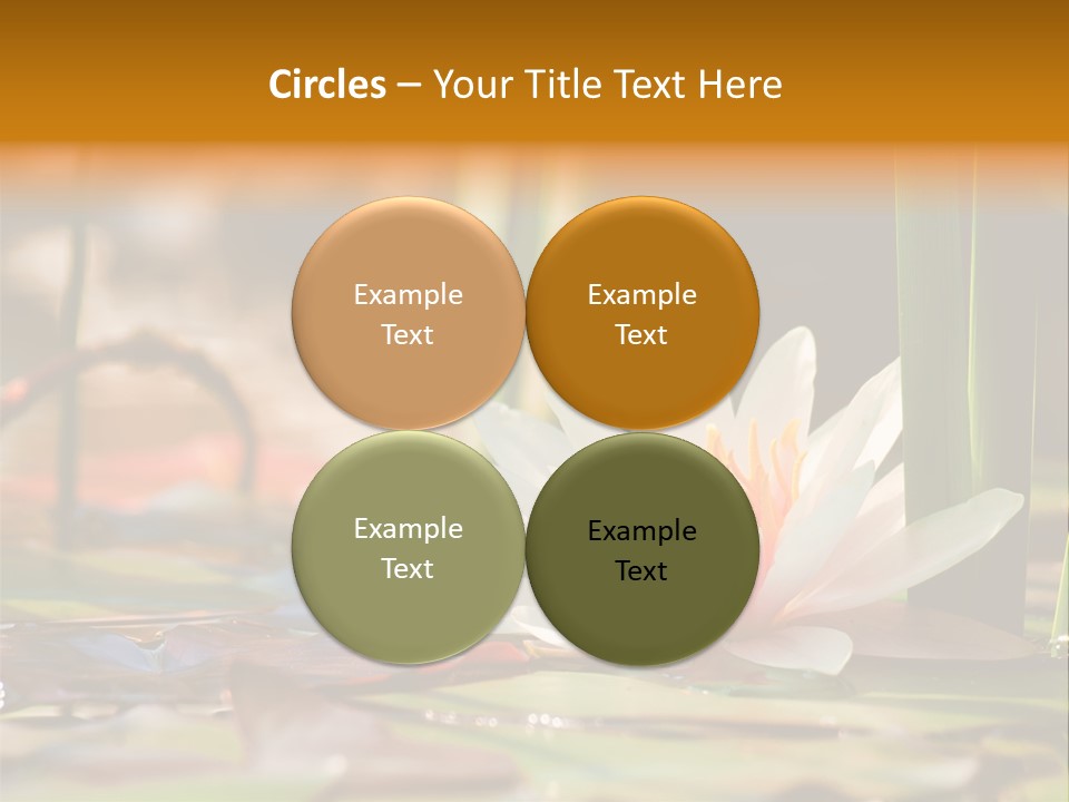 Flower Spring Flora PowerPoint Template