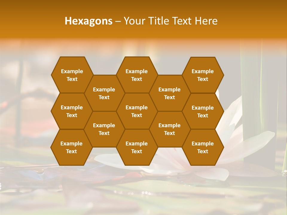 Flower Spring Flora PowerPoint Template