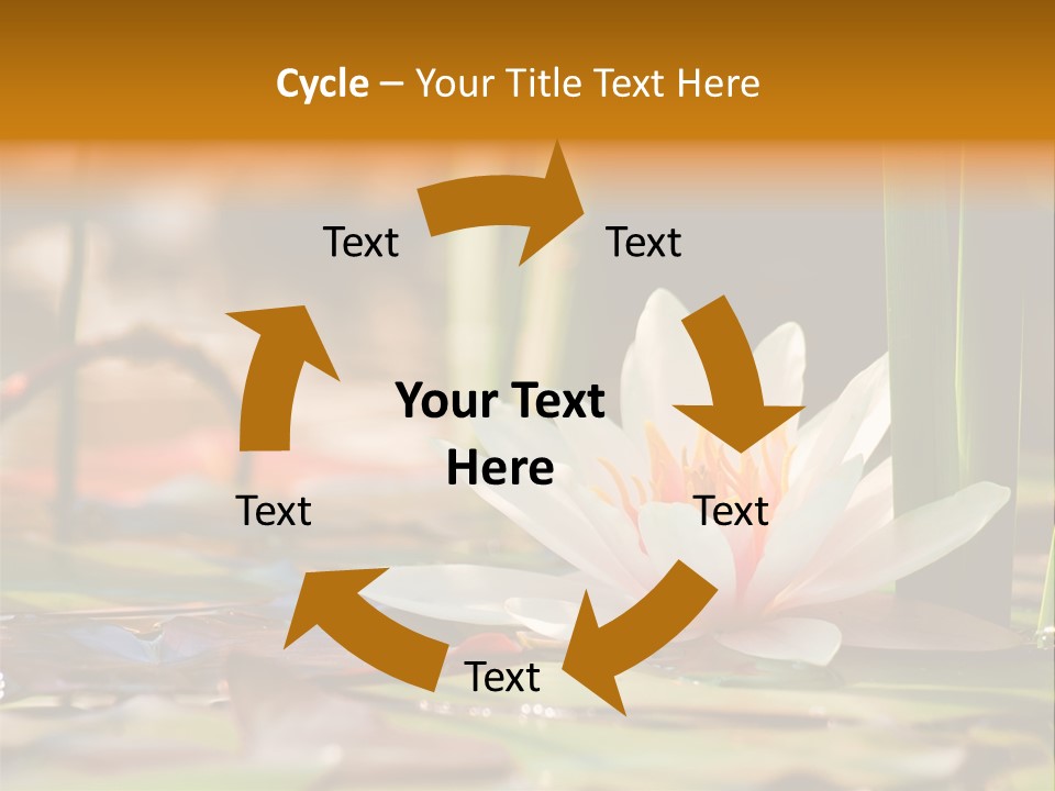 Flower Spring Flora PowerPoint Template