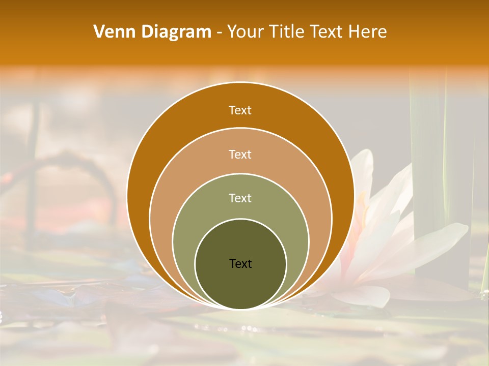 Flower Spring Flora PowerPoint Template