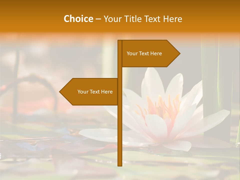 Flower Spring Flora PowerPoint Template