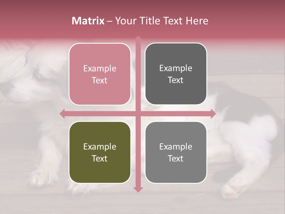 Couple Sweet Small PowerPoint Template