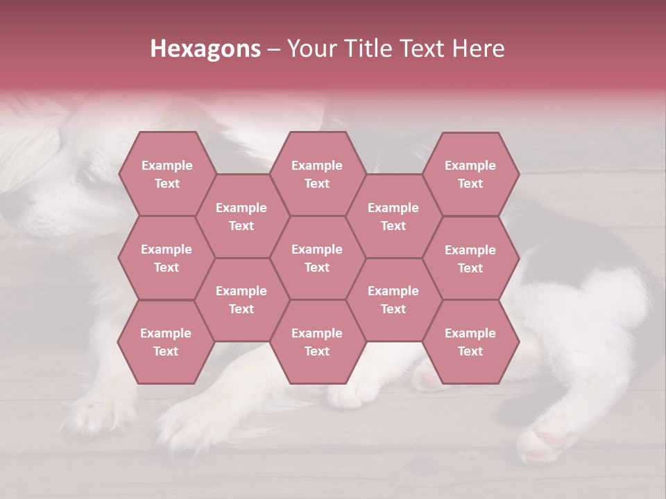 Couple Sweet Small PowerPoint Template