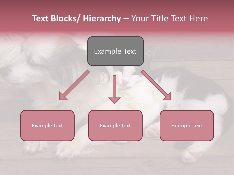 Couple Sweet Small PowerPoint Template