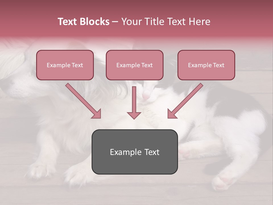 Couple Sweet Small PowerPoint Template
