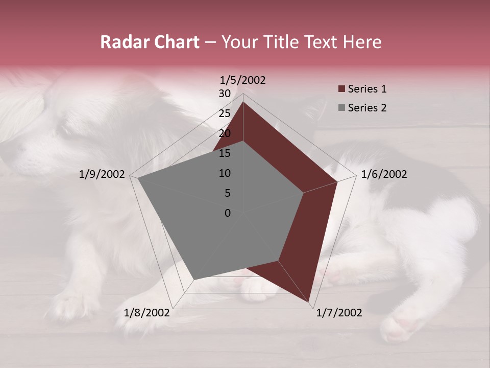 Couple Sweet Small PowerPoint Template