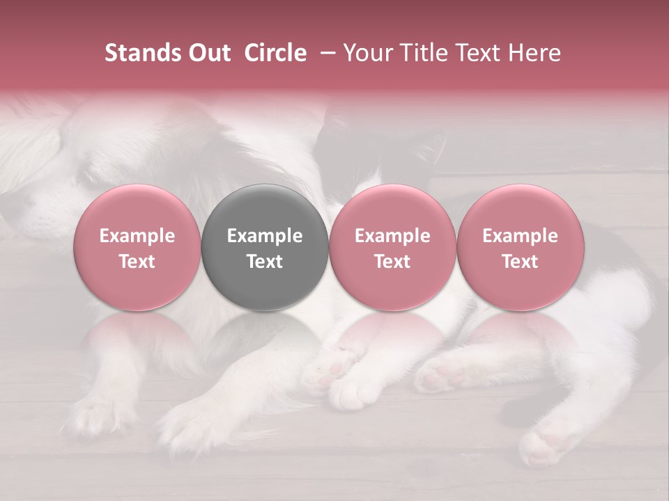 Couple Sweet Small PowerPoint Template