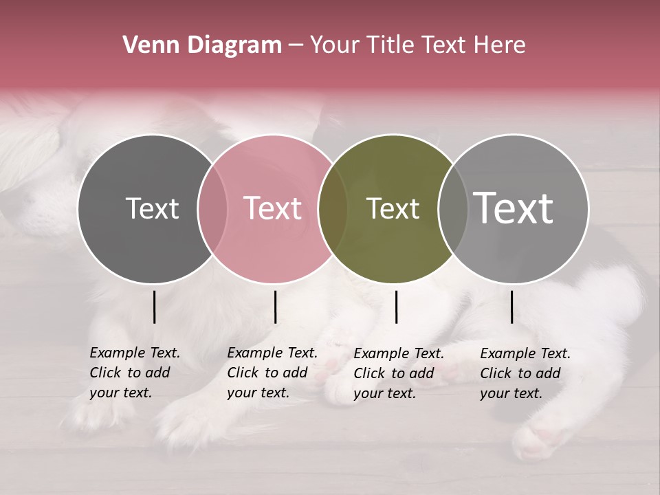 Couple Sweet Small PowerPoint Template