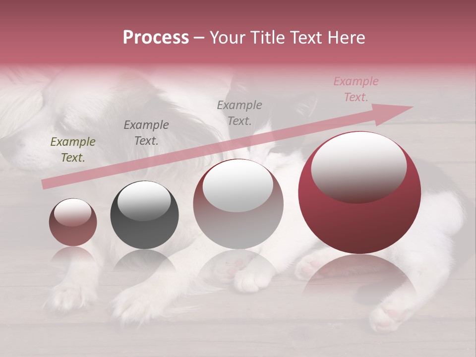 Couple Sweet Small PowerPoint Template