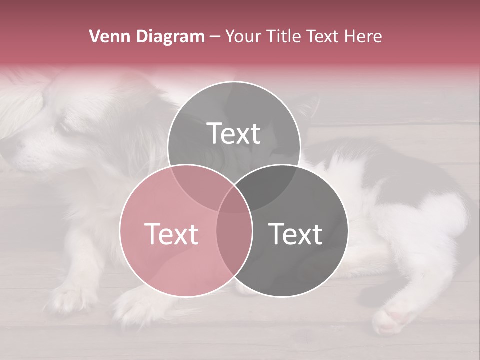 Couple Sweet Small PowerPoint Template