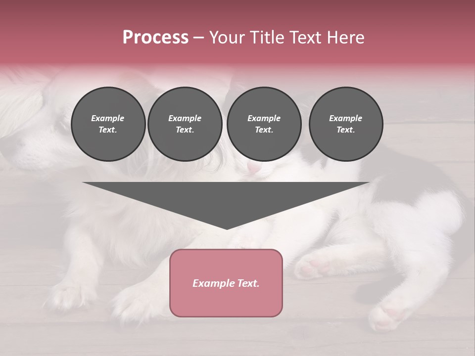 Couple Sweet Small PowerPoint Template