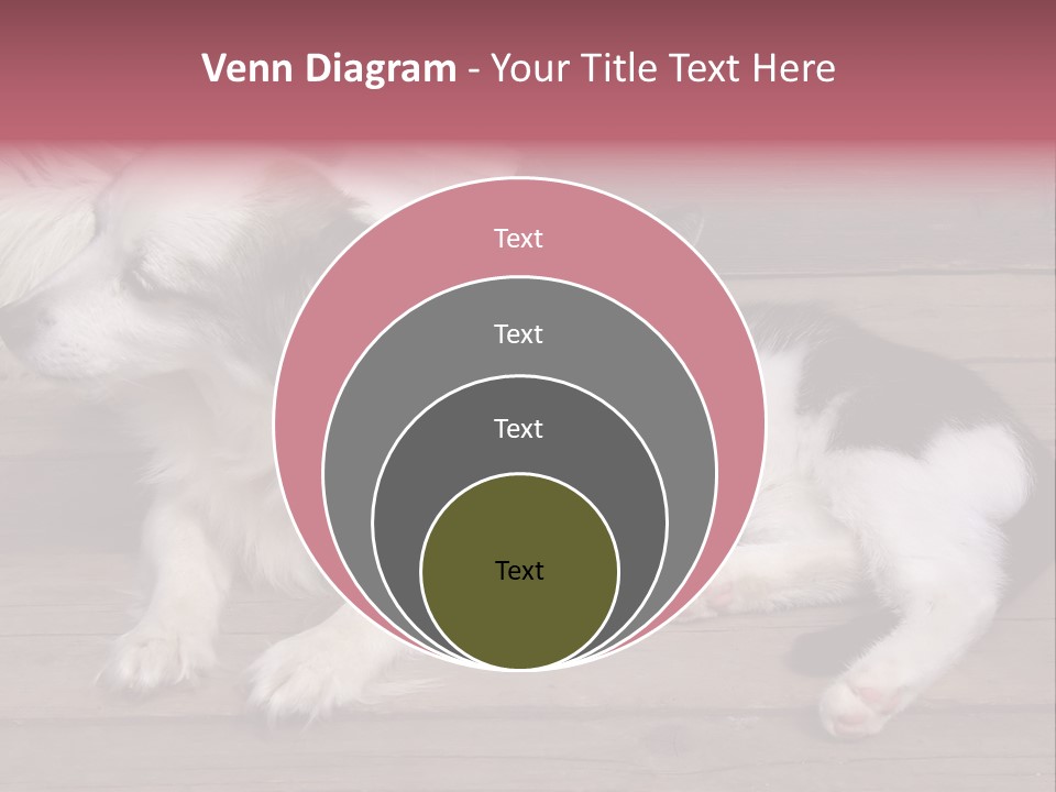Couple Sweet Small PowerPoint Template