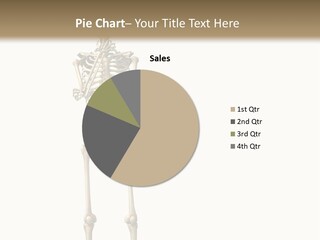 Cerebration Anatomical Skeleton PowerPoint Template