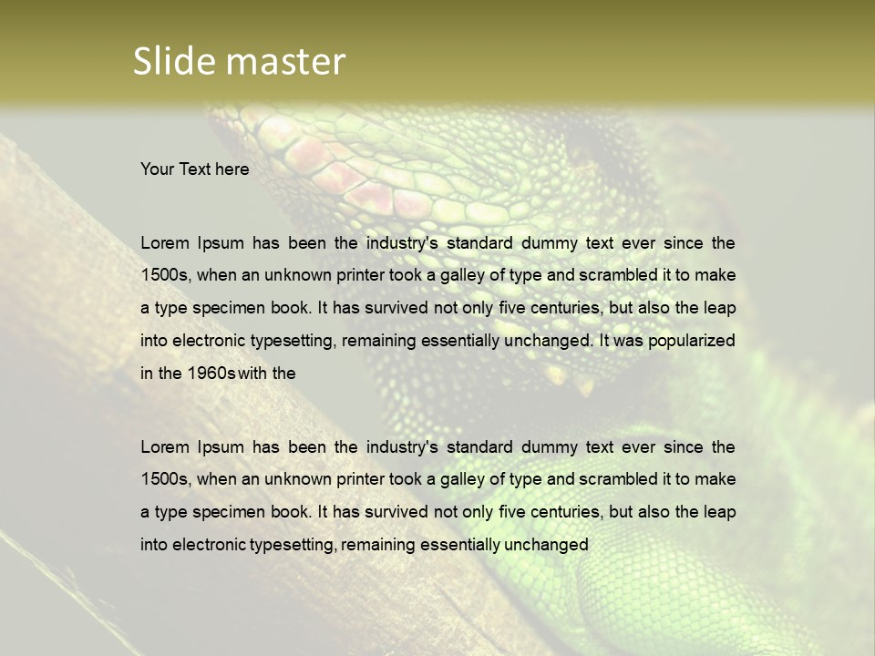 Scale Slow Lizard PowerPoint Template
