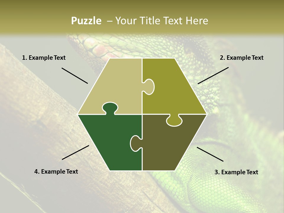 Scale Slow Lizard PowerPoint Template